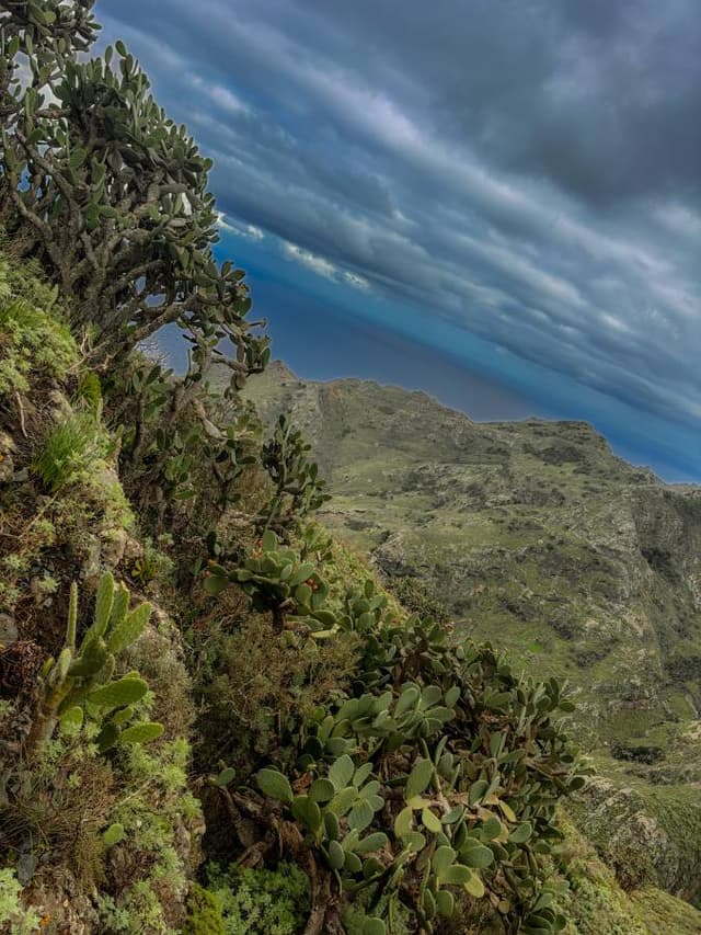 Zdjęcie 8 wykonane przez Cezary O. (5.12.25)