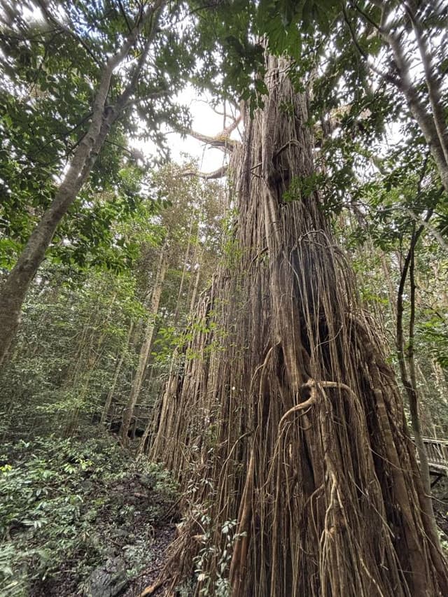 (26/9/15)のレンタルについて、yoko S. による写真 3