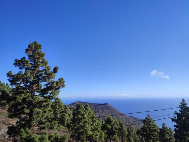 Foto 3 de Sergi T. sobre el alquiler de un Toyota Aygo en La Palma (27/9/22)