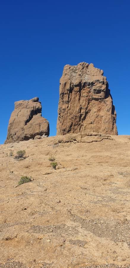 Photo 1 by Mario G. (12/2/25)