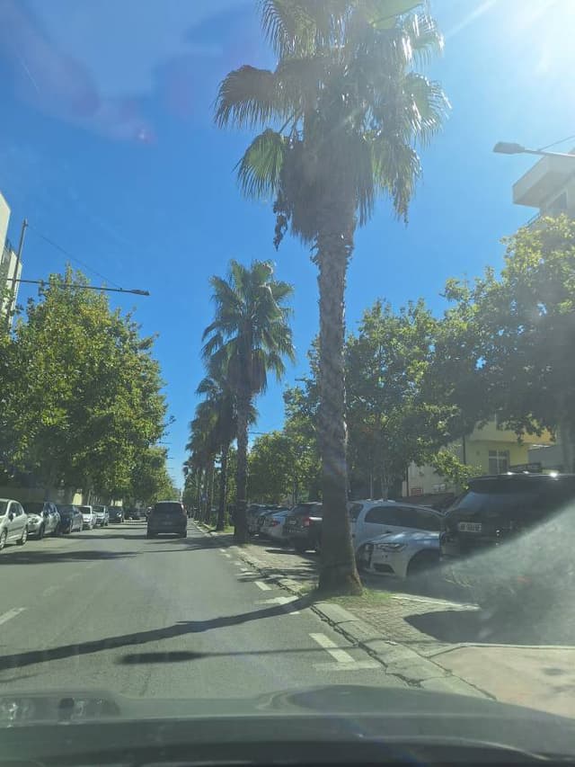 Zsolt Z. 3. számú fényképe (25. 09. 22.)