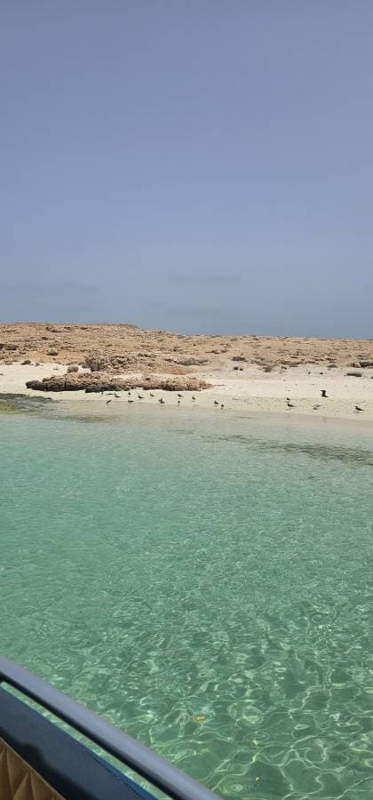 Foto 4 van Naima S. (9-8-25)