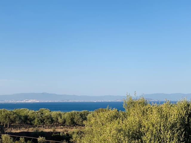 Zdjęcie 8 wykonane przez Pawel B. (11.08.23)