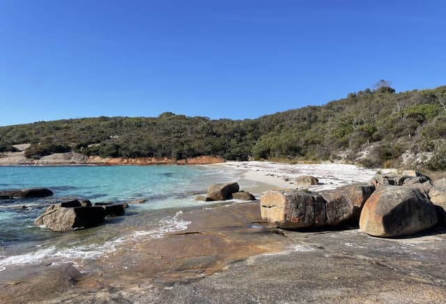 Photo 4 by Lewis C. about renting a Toyota Corolla in Perth (5/14/24)