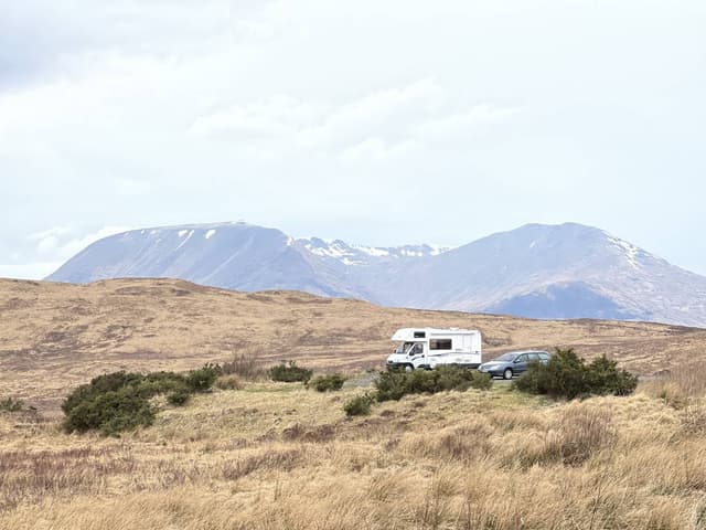 Photo 3 by Lisa F. (4/19/23)