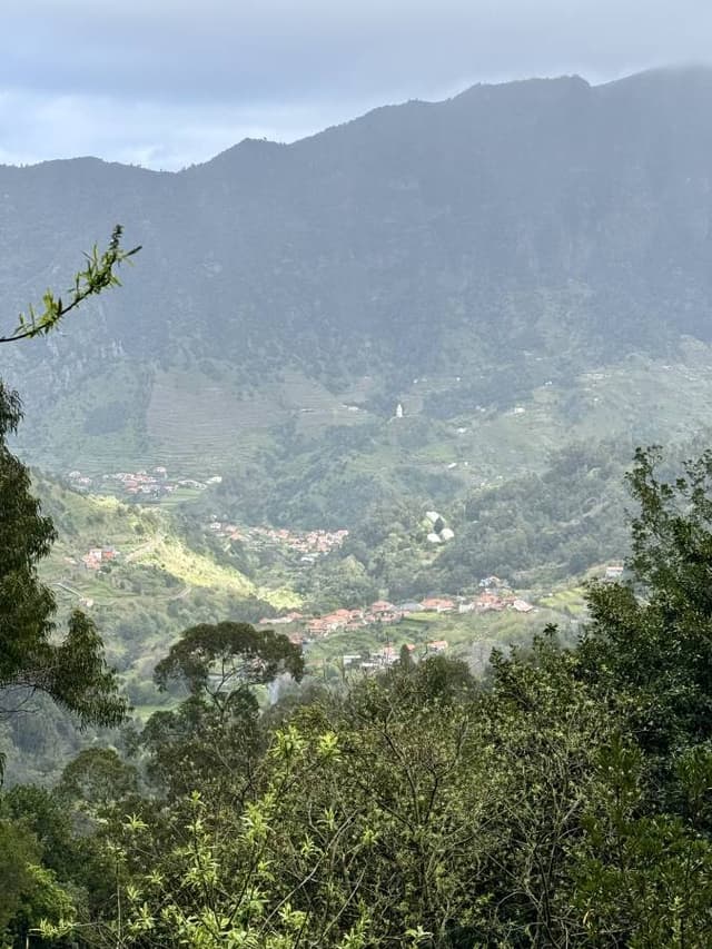 Photo 3 by Shannon H. about renting a Kia Ceed at Madeira Funchal Airport (3/25/25)