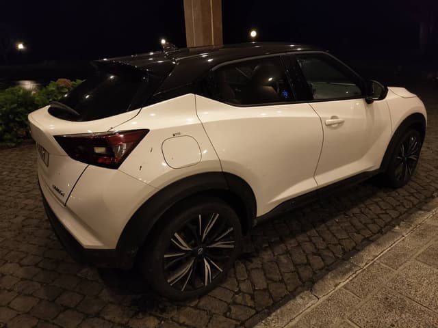 Photo 2 by Rafael B. (11/25/25)