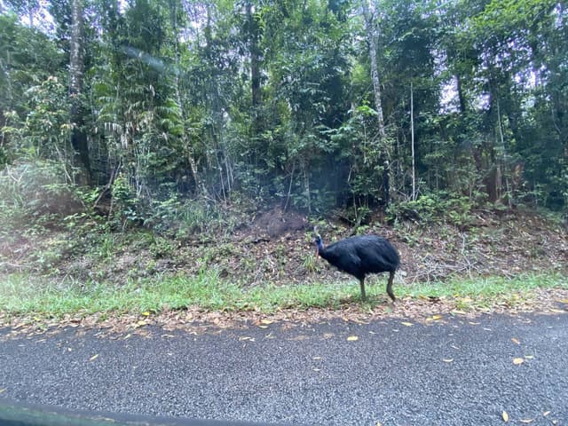 Photo 4 par Cyrille B. (18/03/23)