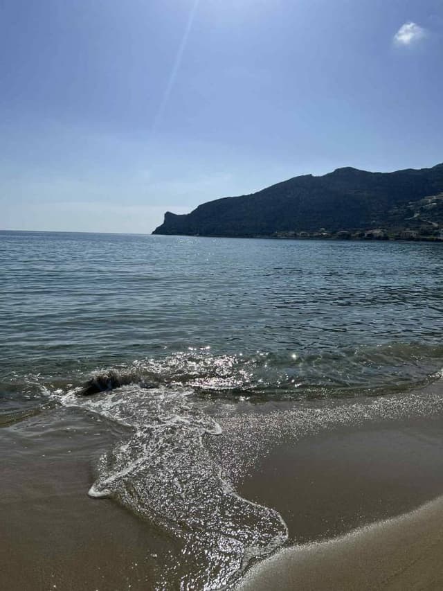 Photo 6 by Paul K. (11/21/25)