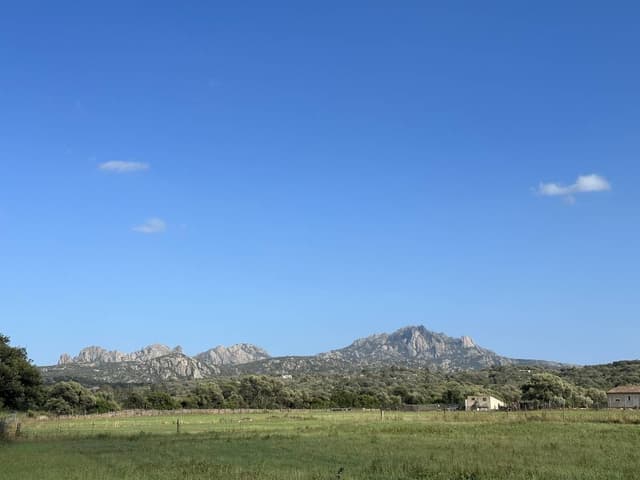 Photo 5 by Natalia V. about renting a MG 3 in Alghero (7/29/23)