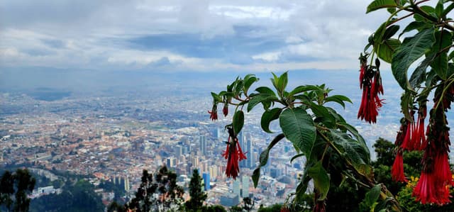 Photo 3 by Yixin L. (7/28/23)