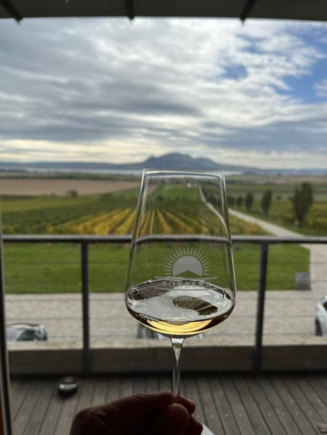 Hosup J.의 사진(24. 10. 19.)