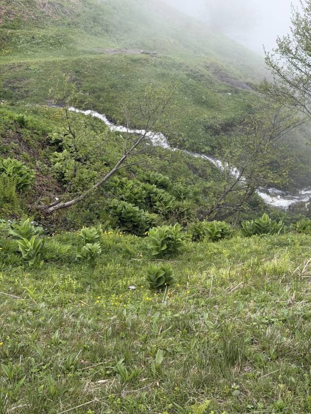 صورة 5 بواسطة Hamad A. (27/5/26)