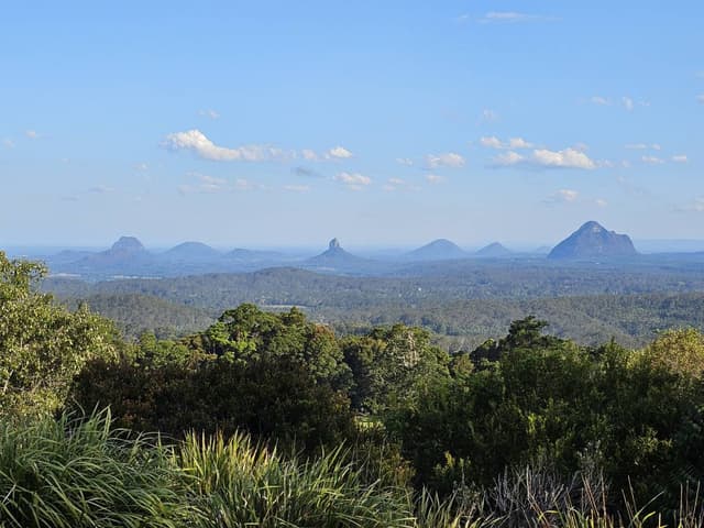 Photo by Patricia M. (9/24/25)