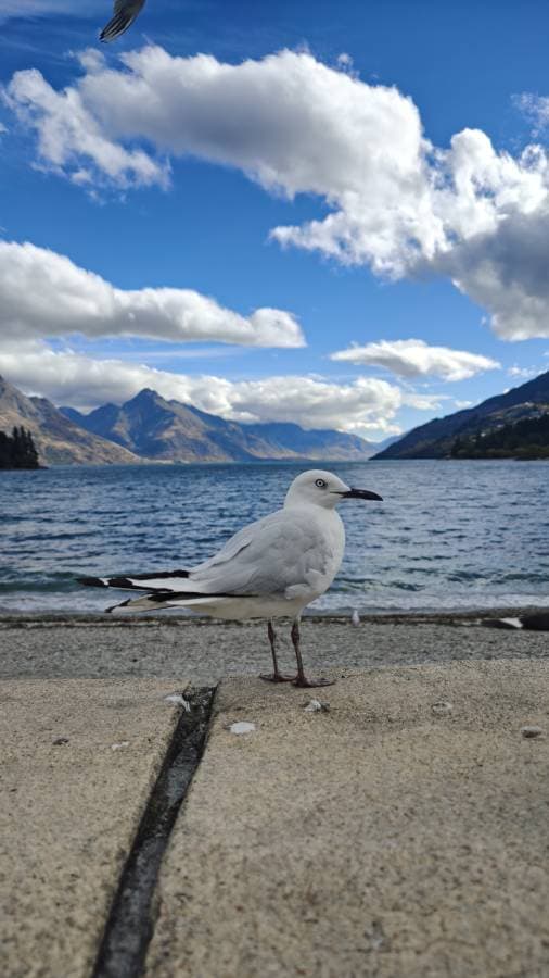 Photo 9 by Soong Heng Glenn Marc L. (3/23/26)