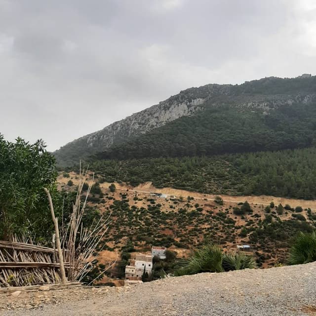 Photo 2 by Abdelhamid A. (10/21/22)