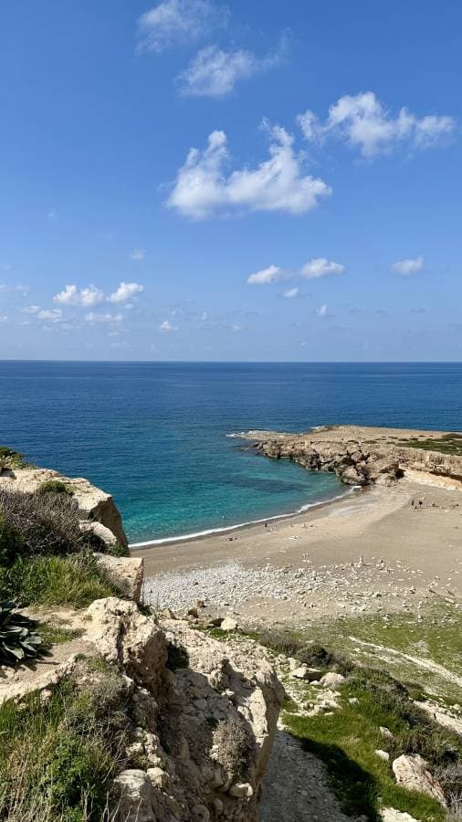 Photo 3 by Roberto C. (3/14/26)