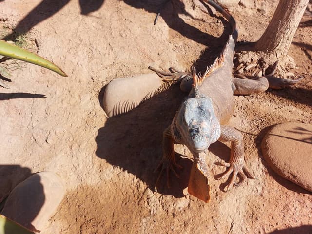 Photo 1 par abdel H. (14/12/24)