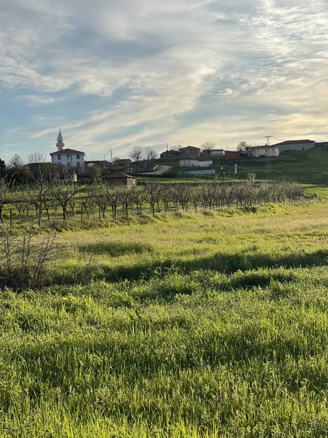 Photo 1 by Mogdad A. (4/16/26)