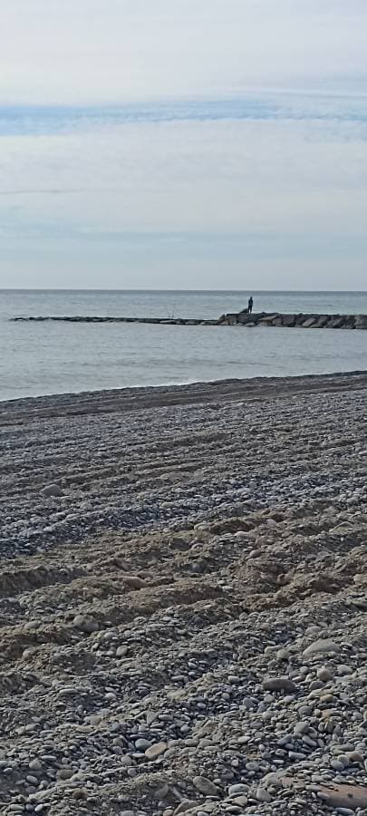 Photo par philippe C. (28/03/23)