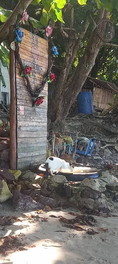 Foto 2 de Albanira barros A. (18/08/25)