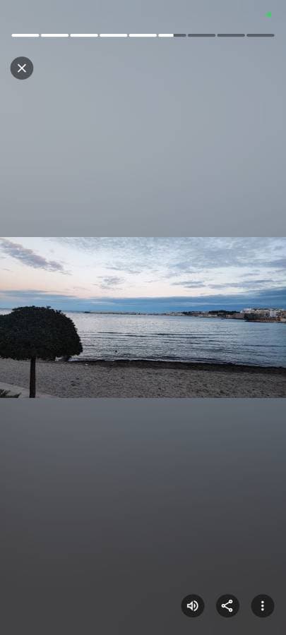 Foto 3 di Graziana P. (04/02/26)