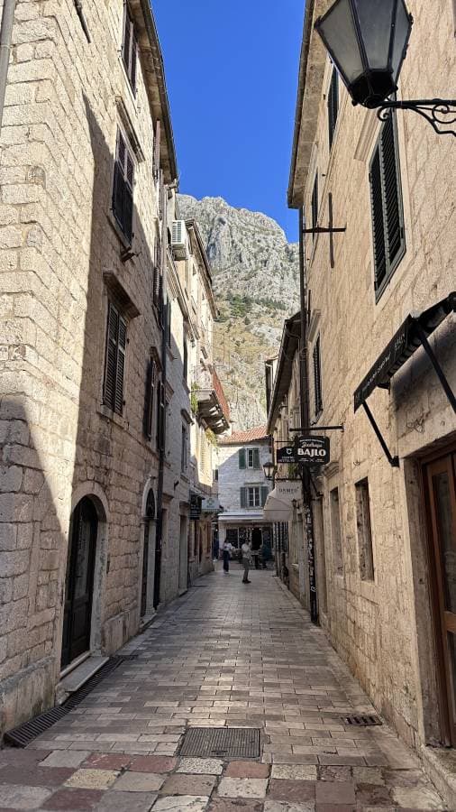 Figen S. tarafından 4 fotoğraf (16.11.24)