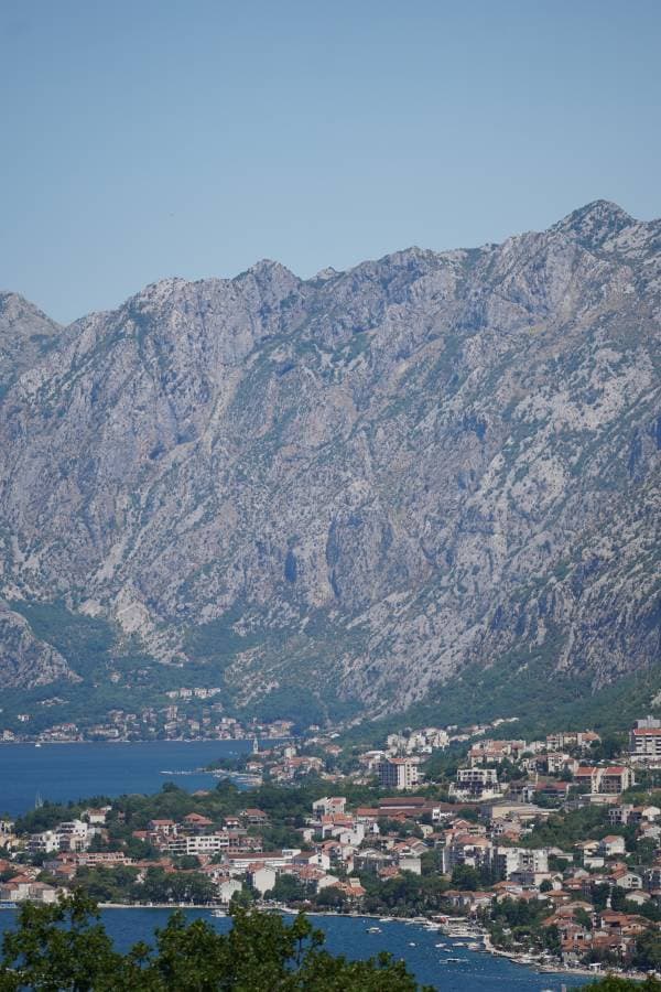 תמונה 2 מאת Raz A. (26.7.26)