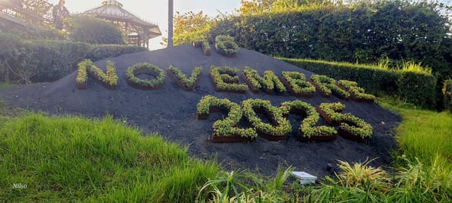 Foto 8 de Nilso D. (01/12/25)