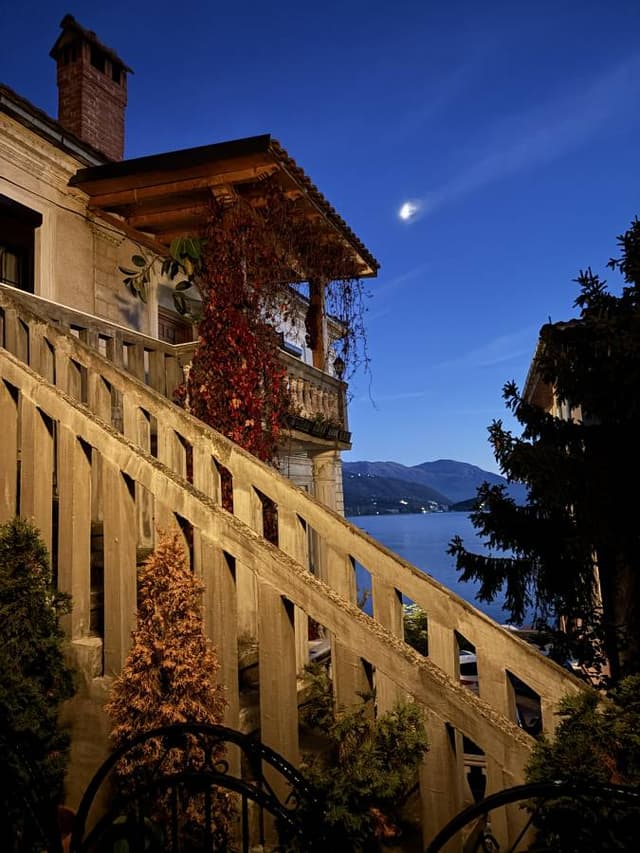 Photo 6 by Anne Marie R. (11/6/25)