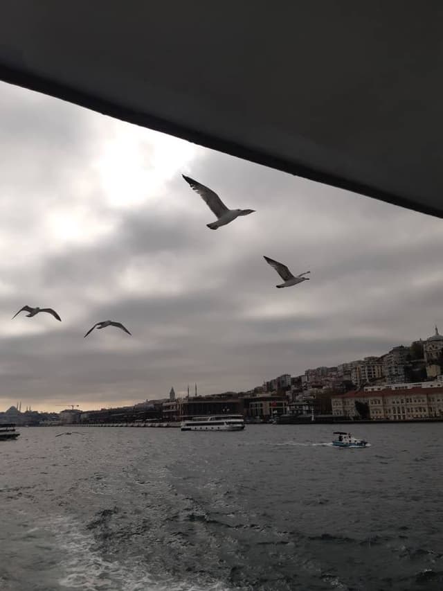 Photo 3 by Richard V. about renting a Peugeot 301 at Istanbul Sabiha Gokcen Airport (4/21/25)
