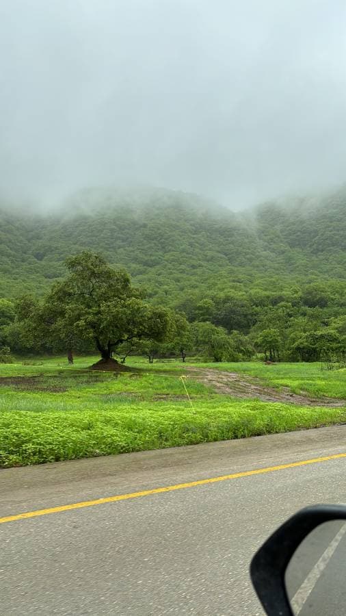 Photo 3 by Jehad A. about renting a Volkswagen T-Roc in Salalah (7/18/24)