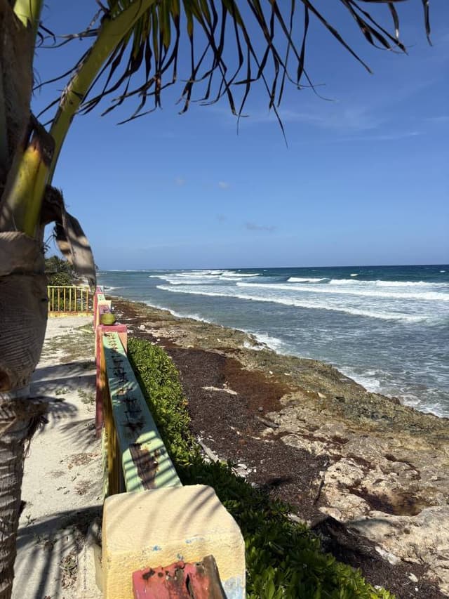Photo 3 by Paul F. (6/19/26)
