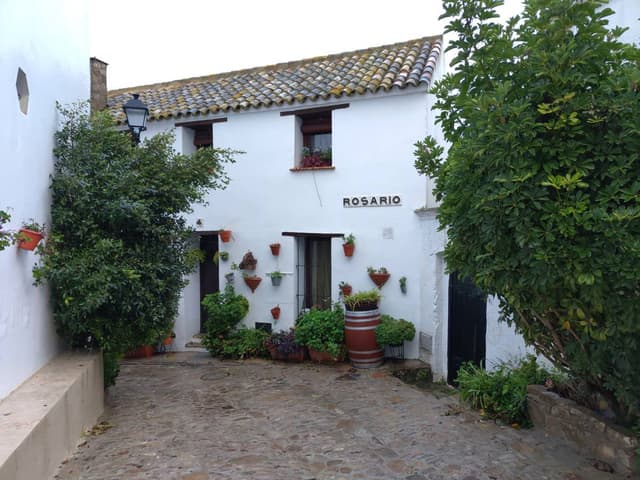 Zdjęcie 4 wykonane przez JACEK P. (21.01.24)