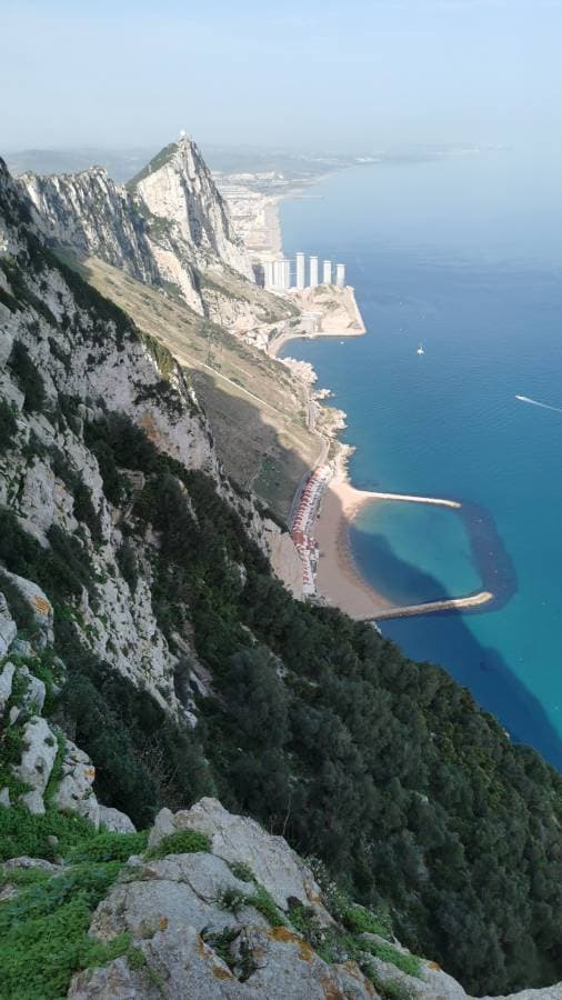 Zdjęcie 3 wykonane przez Jacek M. (3.12.24)