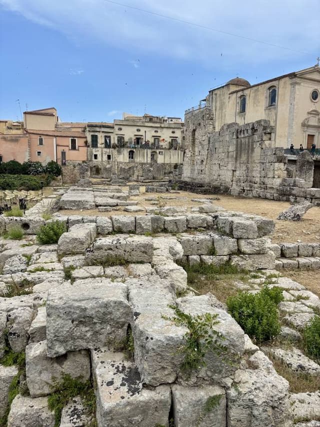Foto 7 di massimo alessandro P. (05/06/26)