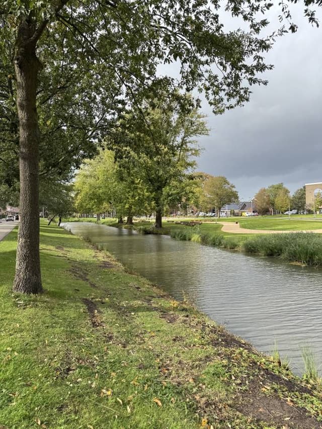 Photo by Julya F. (10/25/25)