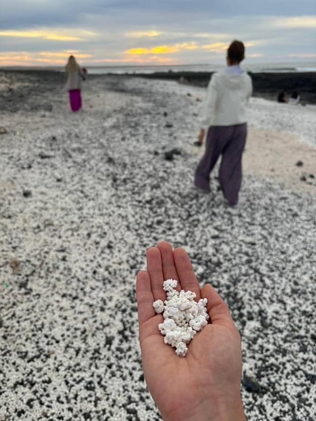 Photo 2 par Jessica A. (21/10/25)