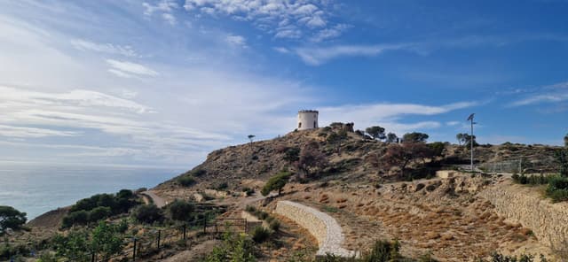 Foto 4 van Serina R. (7-2-26)