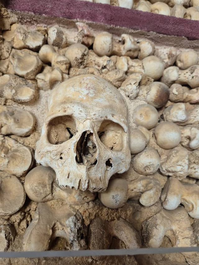 Photo 4 par DAVID A. (21/08/25)