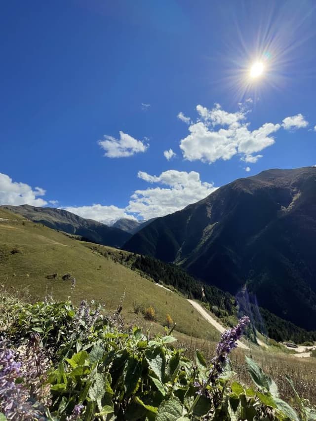 Mehmet D. tarafından 5 fotoğraf (06.10.24)