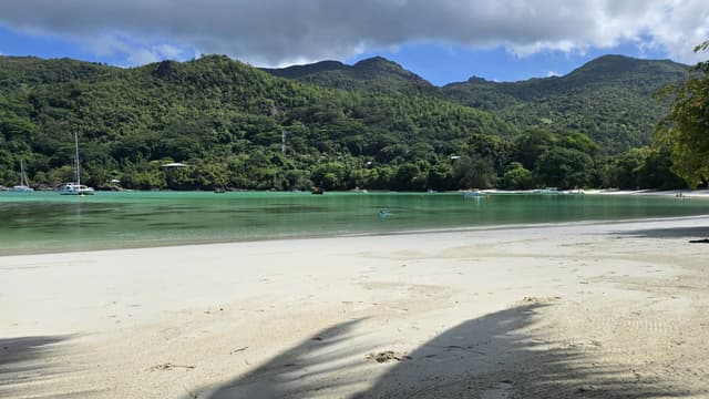 Foto 6 di laura C. (12/10/25)