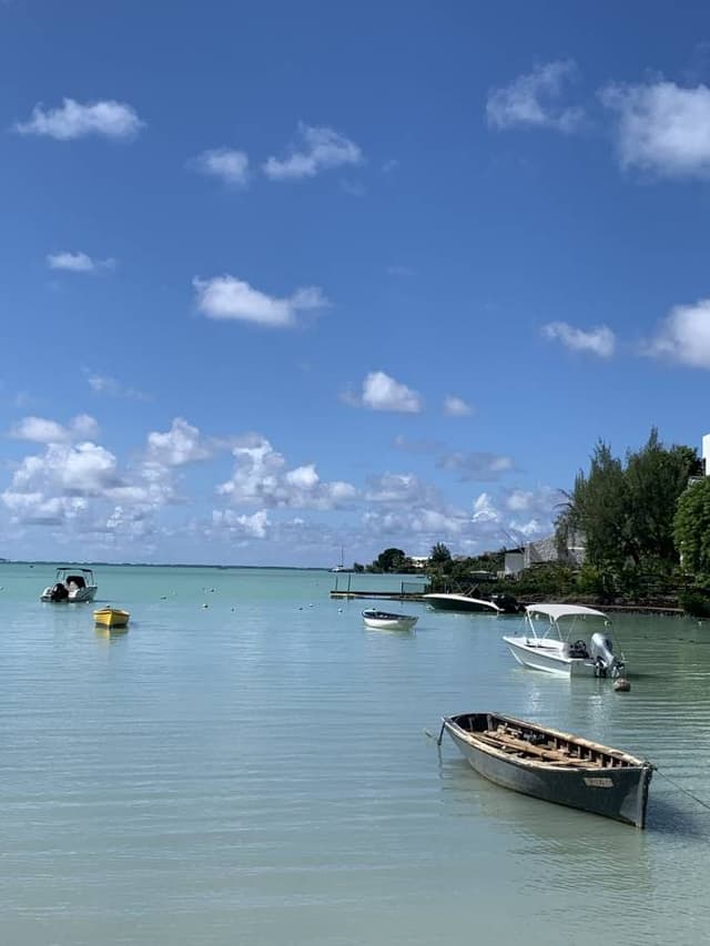 Photo 3 par Jeannine H. (11/04/26)