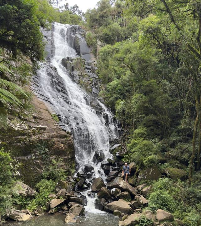 Foto 3 von Carlos M. über die Anmietung eines Jeep Compass in Curitiba (11.1.25)
