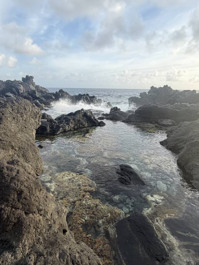 Photo 20 par Eliane L. (25/01/26)