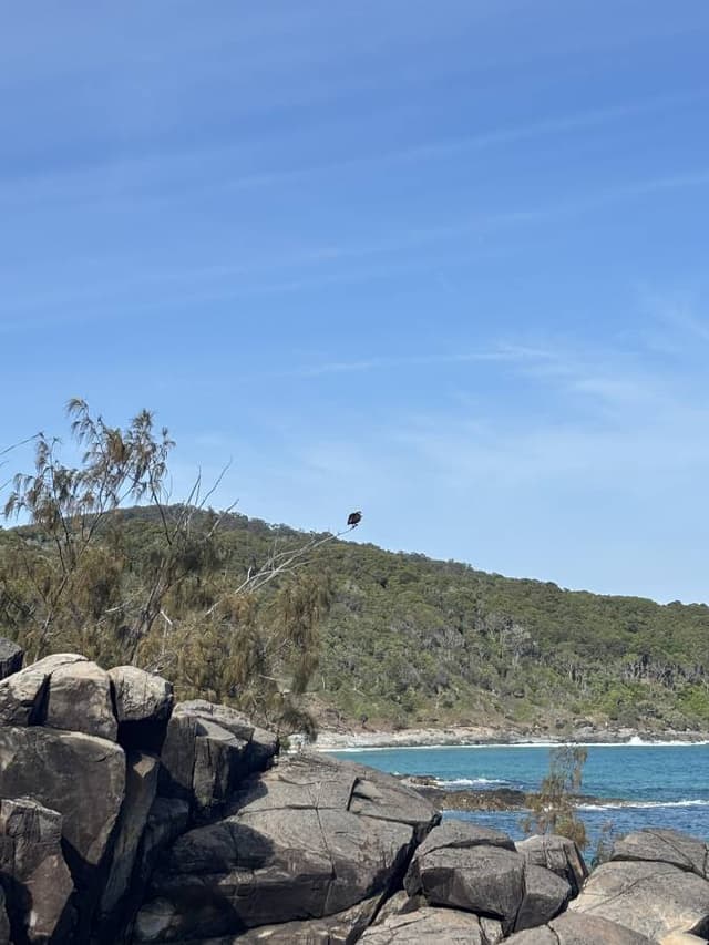 Photo 5 by Abbey P. (10/18/25)