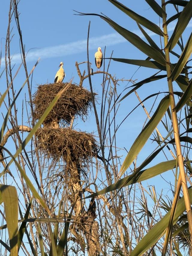 Foto 3 van Nicolaas B. (5-12-25)