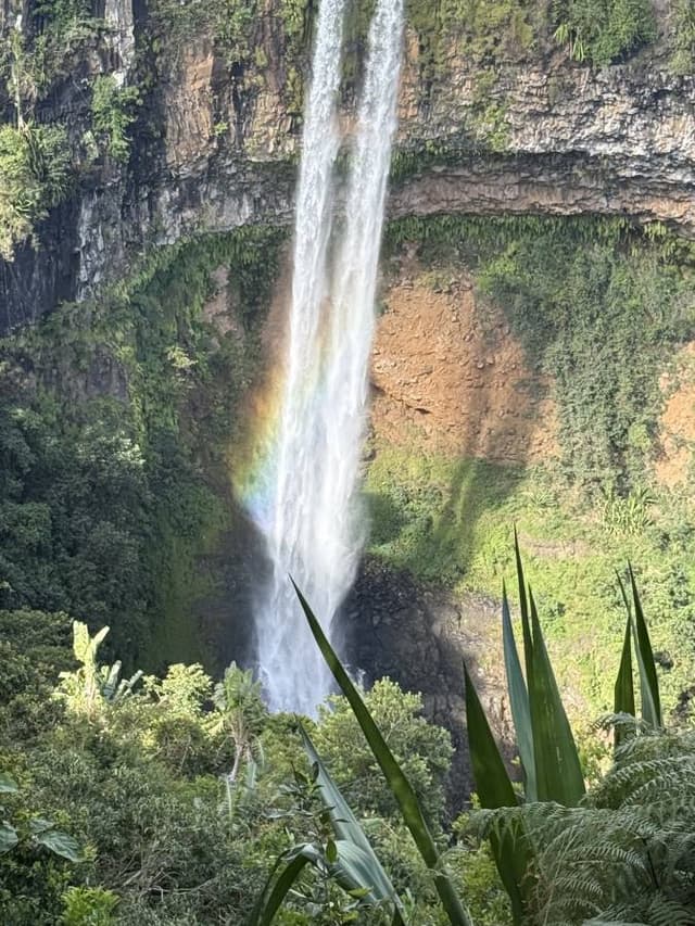 Photo 6 par Sandra M. sur la location d'un Suzuki S-Presso au Bel Ombre (14/09/25)