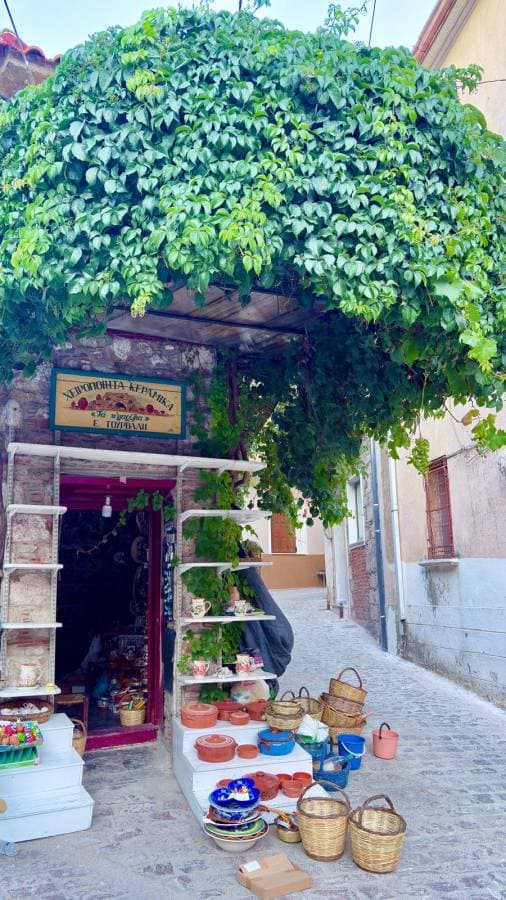 Photo 3 by MOSHE T. (7/25/25)