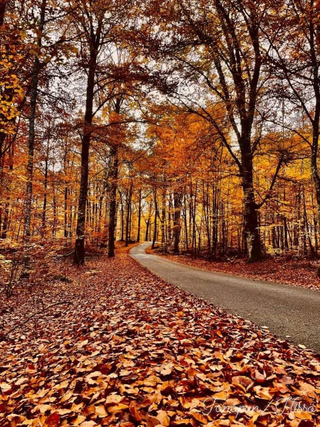 Foto 5 av Nebojsa D. om att hyra en Toyota Yaris i Serbien (24-11-17)